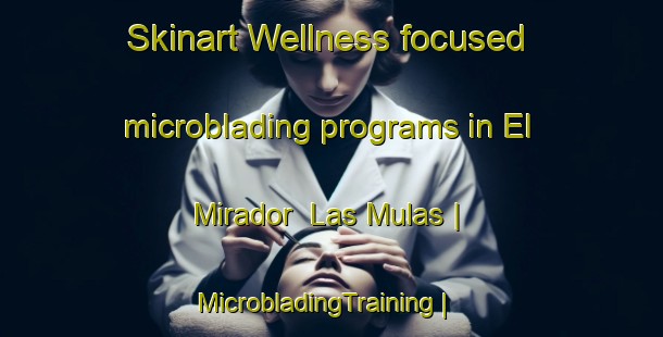 Skinart Wellness-focused microblading programs in El Mirador  Las Mulas | MicrobladingTraining | MicrobladingClasses | SkinartTraining-Mexico